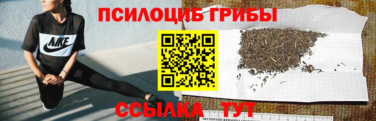 Галлюциногенные грибы ЛСД  Вход с VPN  Тула  Псилоцибиновые грибы ЛСД 